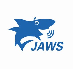 JAWS Pro Skærmlæser - example from the product group screen readers without word processing support JAWS Pro Skærmlæser - example from the product group screen readers without word processing support