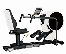 Recumbant Stepper Recumbant Stepper