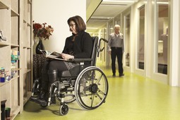 Easywheel - click to see picture in full size - opens new window Easywheel