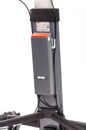 Taurus Walker
