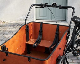 Electric Cargo Bike - Ultimate Harmony - click to see picture in full size - opens new window Electric Cargo Bike - Ultimate Harmony