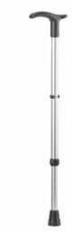 Simplex Walking Stick Simplex Walking Stick