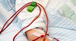 HED clip - click to see picture in full size - opens new window HED clip