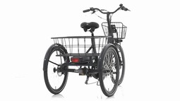 Vogue Tri-Velo
