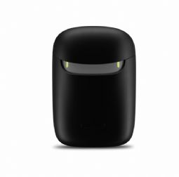 Rexton Slim-RIC Charging Case Rexton Slim-RIC Charging Case