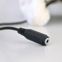 Switch Adapted Toy - Lucy the Dog - click to see picture in full size - opens new window Switch Adapted Toy - Lucy the Dog