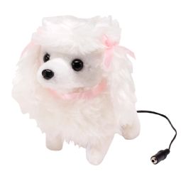 Sweet Poodle - adapted Sweet Poodle - adapted