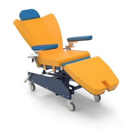 Stephen H Anatomical - Mini - Therapy Chair