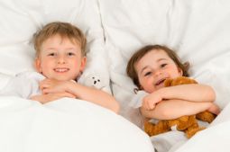 Wellline mattress cover