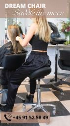 Saddle lux move - click to see picture in full size - opens new window Saddle lux move