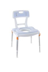 Toilet and shower chair