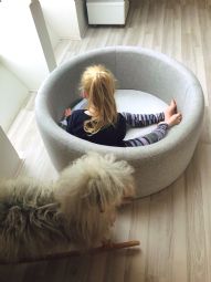 Nordens Rede - click to see picture in full size - opens new window Nordens Rede